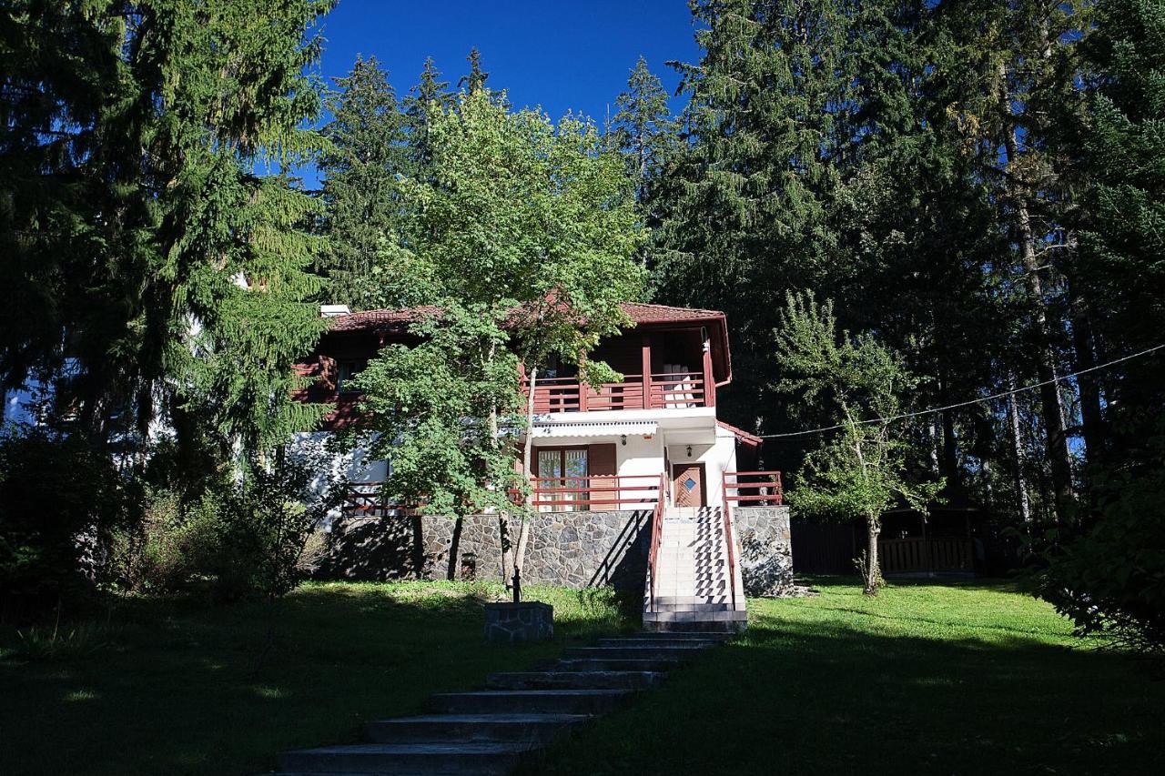 Vila Carolyne Predeal Exteriör bild